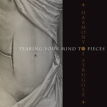 Harmony of Struggle- tearing your mind to pieces